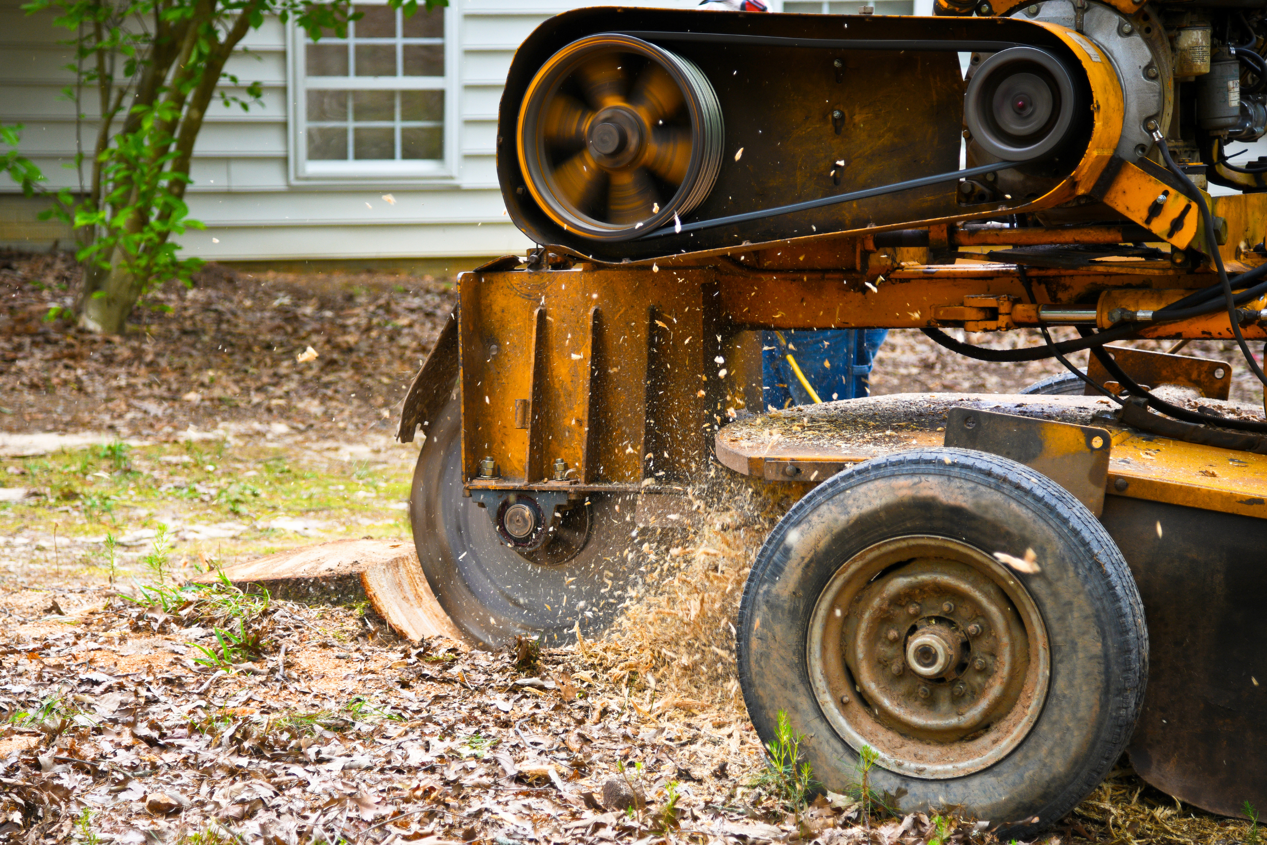 Stump Extraction & Grinding