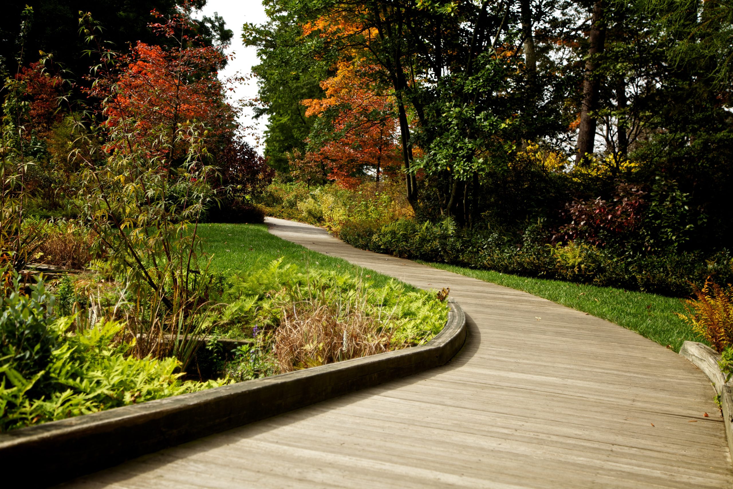 Get in touch - Walkway with Trees, Plants and Grass
