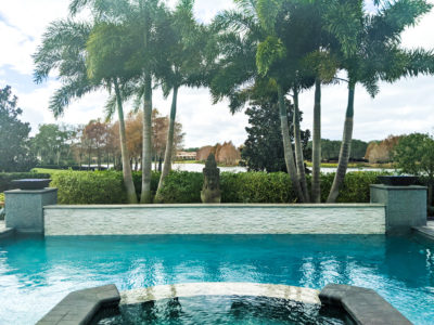 Billy's lawn care professionals - Palm trees in the pool side
