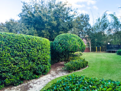 Billy's lawn care professionals - Circular and rectangular shaped plants and mowed grass