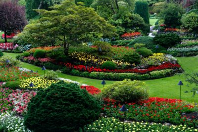 Landscape design with vibrant colored flowers